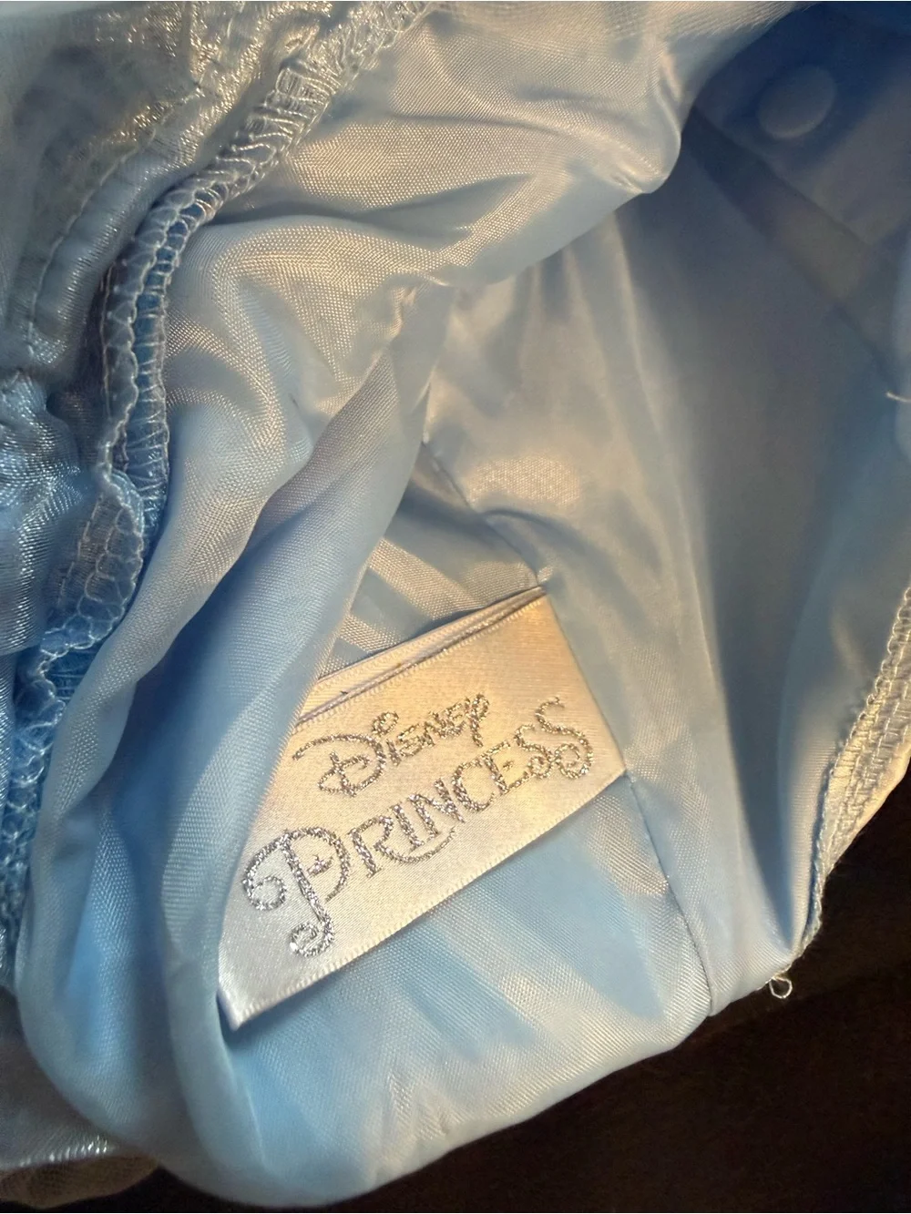 NWT Disney Cinderella Premium Pet Costume in size XL.